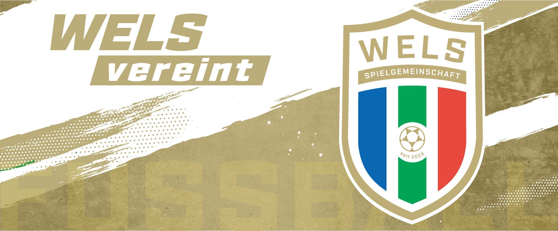 Mauth Stadion WSC Hertha Wels 2